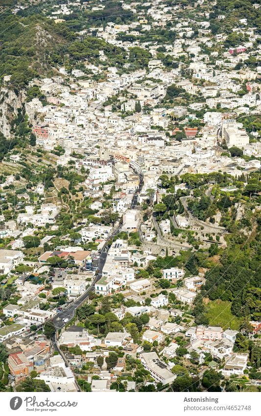 Capri Stadt von oben Zentrum Stadtzentrum Straße Häuser Pflanzen grün Weiß Italien Autos Gassen eng klein Hang steil Insel unten Aussicht Natur Landschaft