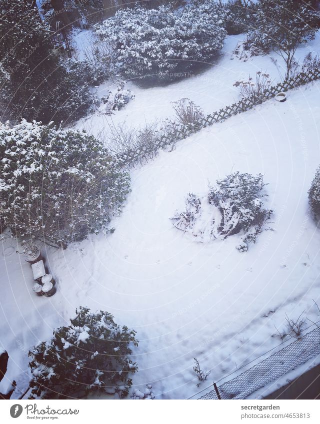 Schieflage Schnee Garten Winter Romantik Busch kalt weiß Zaun Nachbarn Eis Frost Außenaufnahme Landschaft Natur Baum Schneelandschaft Pflanze Wintertag Tag