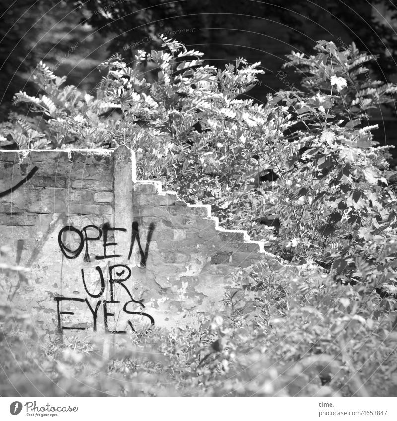 Lost Land Love | Renaturierung mauer kaputt grafitti veränderung strauch wildwuchs buchstaben renaturierung reste architektur steinmauer wandel lost places