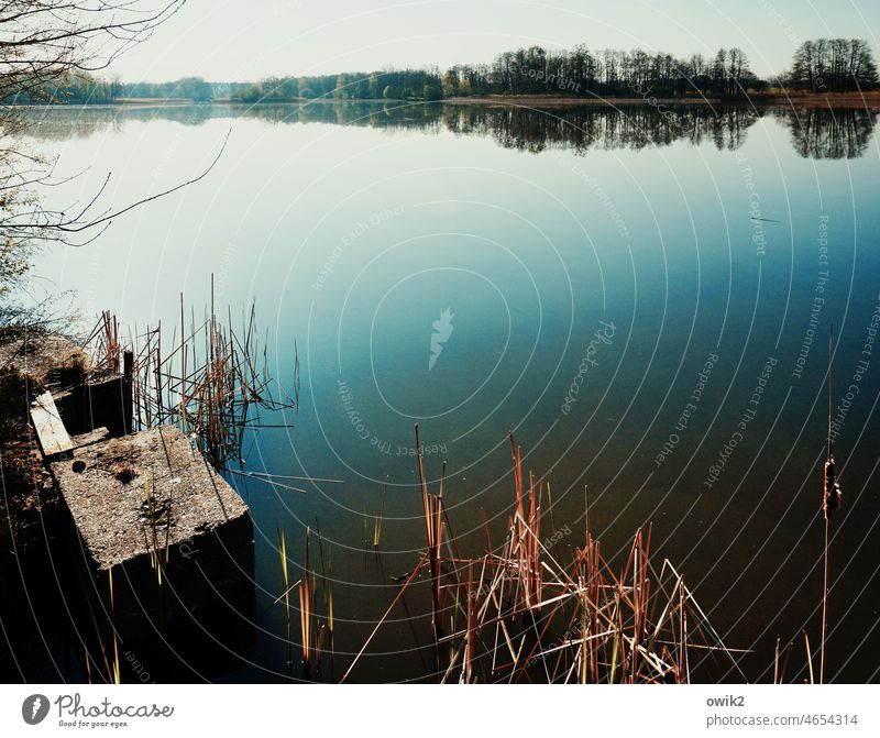 Still und weit Seeufer Reflexion & Spiegelung Idylle Wasseroberfläche Windstille Horizont Bäume geheimnisvoll Panorama (Aussicht) friedlich Weite Ferne Umwelt