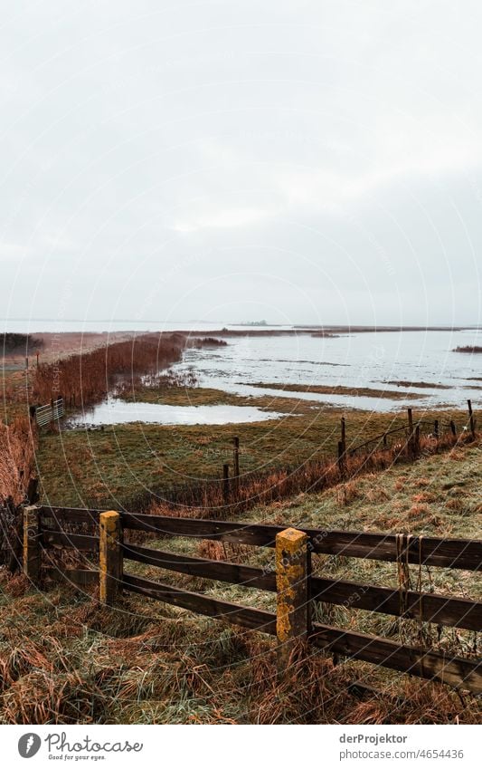 Küstenschutz Blick vom Deich in Westfriesland Wattenmeer standhaft Ferien & Urlaub & Reisen Tourismus Ausflug Ferne Umwelt Lebensfreude Außenaufnahme