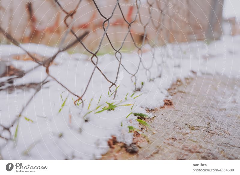 Abstrakter Hintergrund eines verschneiten Zauns Schnee Winter Saison kalt frieren gefroren Bokeh Tiefenschärfe Detailaufnahme Makro Textur abstrakt im Freien