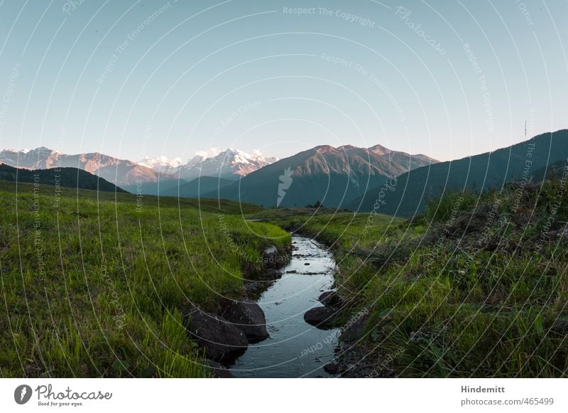 Zum Ortler Umwelt Natur Erde Luft Wasser Himmel Wolkenloser Himmel Sommer Schönes Wetter Wiese Hügel Felsen Alpen Berge u. Gebirge Schneebedeckte Gipfel Bach