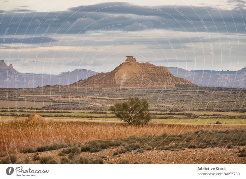 Trockenes Gras in schlechtem Land in der Wüste unter bewölktem Himmel wüst Tal trocknen Natur Landschaft wild reisen Tourismus bardenas reales ruhig malerisch