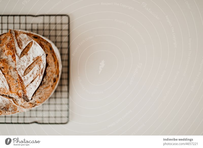 Ein Laib hausgemachtes Sauerteigbrot mit Mohn auf einem Kühlgestell auf beigem Hintergrund. Der Hintergrund ist unscharf, das Brot ist auf der linken Seite. Copy Space Flat Lay Bild.