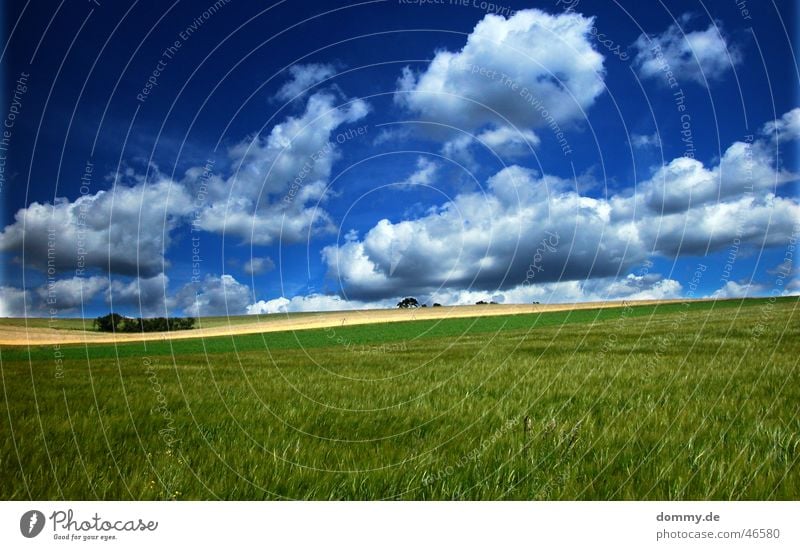 windows xp ? Fenster stark Sommer grün Wolken Würzburg Höchberg Wiese Feld Baum Pol- Filter Farbe Sonne blau Amerika mehrere Kurve