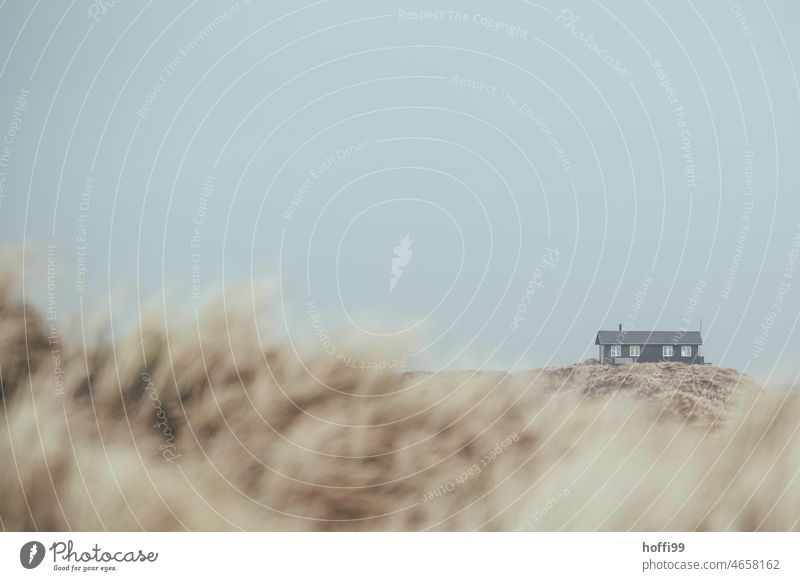 ein einsames Haus in den Dünen - Winter am Meer Ferienhaus abgelegen Einsamkeit isolation Dünengras Wind Nordsee Küste Natur Strand Landschaft