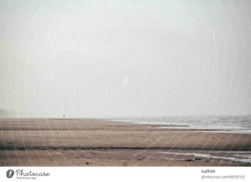 einsamer Strandläufer in der Ferne bei Sturm und diesigem Wetter am Nordseestrand Küstenlinie Strandspaziergang Minimalismus Nebel Dunst Meer Landschaft Natur