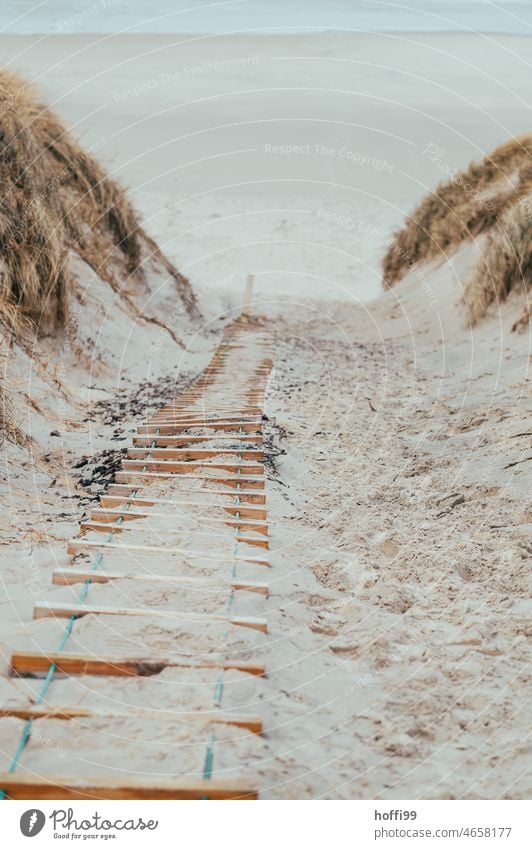 Strickleiter als Steighilfe am Strand Seilleitern steighilfe Klettern Gras Dünen Meer Küste Dünengras Landschaft Urlaub Reise Deutschland Naturschutzgebiet