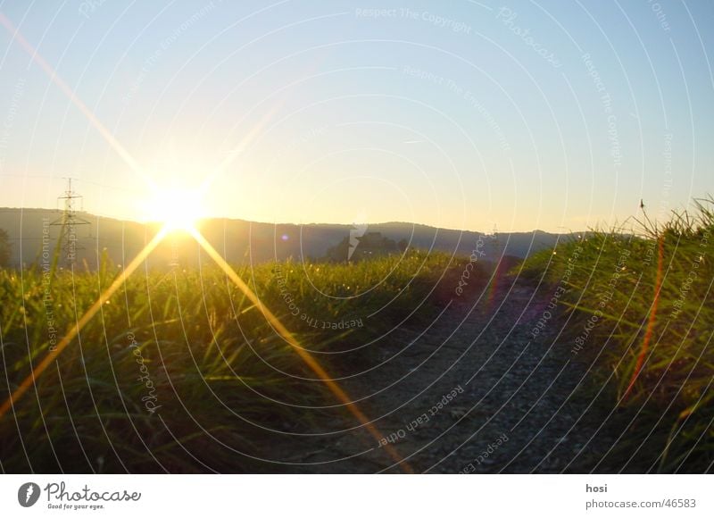 Die Nacht kommt bald Sonnenuntergang Hügel Gras Wege & Pfade Freiheit Abend Himmel Natur Schönes Wetter freienstein