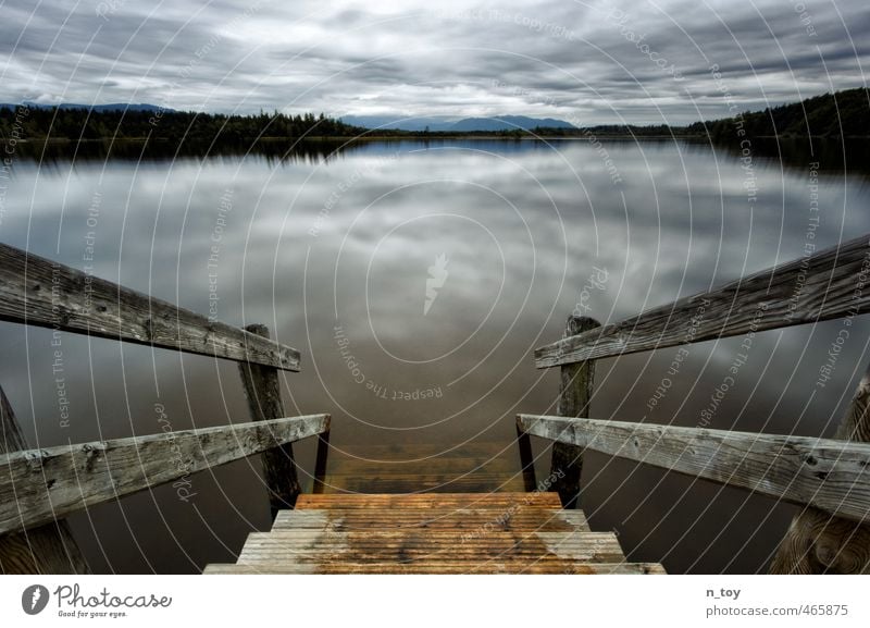 letzter Badetag Umwelt Natur Landschaft Wasser Wolken Gewitterwolken Herbst Wald Alpen Seeufer Moor Sumpf Schwimmen & Baden Denken entdecken blau braun Gefühle