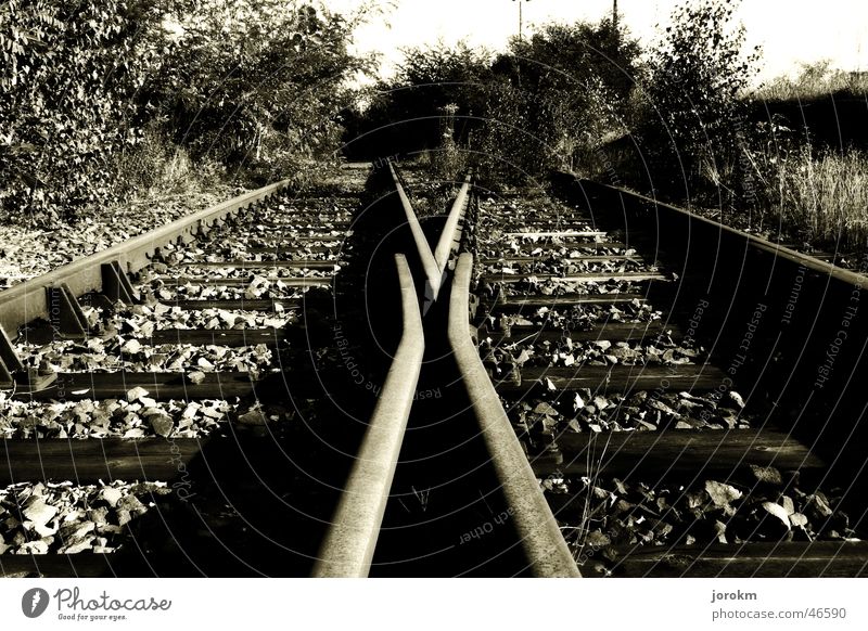 Wohin führt der Weg ? Gleise Richtung Eisenbahn ruhig mehrgleisig Schwarzweißfoto Bahnhof Weiche