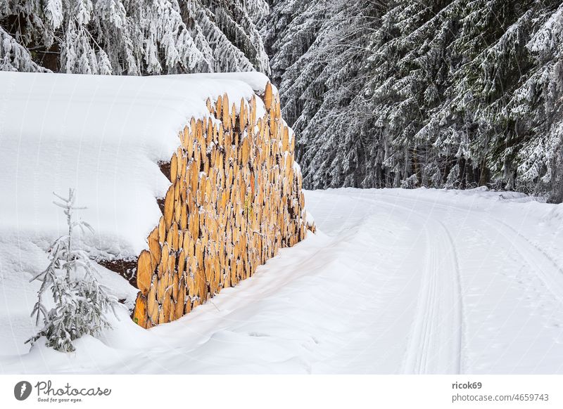 Landschaft im Winter im Thüringer Wald in der Nähe von Schmiedefeld am Rennsteig Schnee Thüringen Baum Natur weiß Frost kalt Urlaub Reise Gebirge Berge