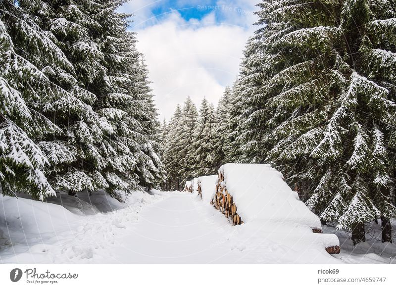 Landschaft im Winter im Thüringer Wald in der Nähe von Schmiedefeld am Rennsteig Schnee Thüringen Baum Natur Himmel Wolken blau weiß Frost kalt Urlaub Reise