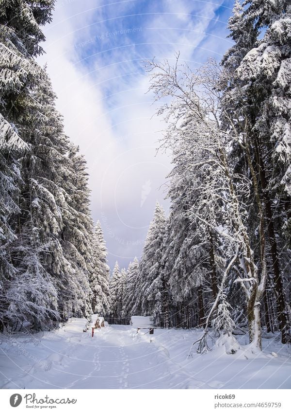 Landschaft im Winter im Thüringer Wald in der Nähe von Schmiedefeld am Rennsteig Schnee Thüringen Baum Natur Himmel Wolken blau weiß Frost kalt Urlaub Reise