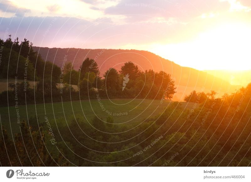 Sun-day Natur Landschaft Sonnenaufgang Sonnenuntergang Sonnenlicht Sommer Schönes Wetter Baum Wiese Wald Berge u. Gebirge leuchten positiv Wärme Warmherzigkeit