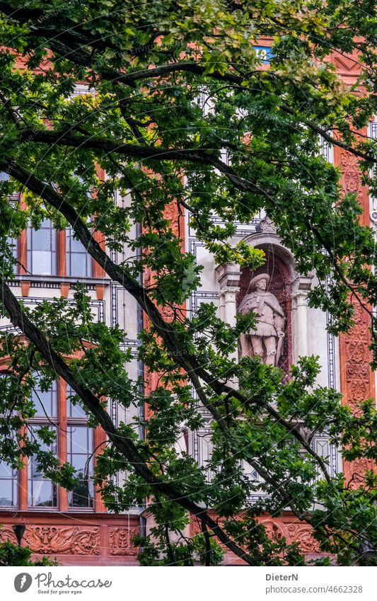 Durchblick Rostock Universität historisch Baum Fassade Architektur Statue