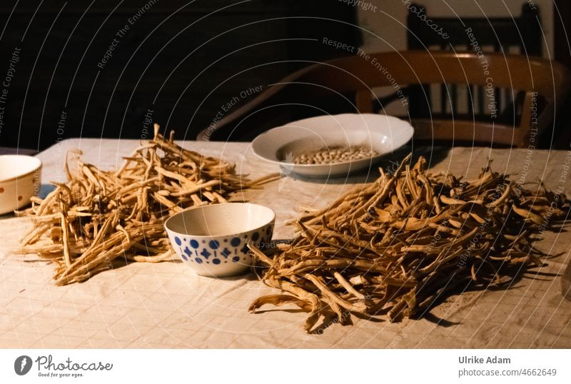 Getrocknete gelbe Bohnen zählen, pulen, palen oder von Schoten befreien Gelb getrocknet Vegane Ernährung Lebensmittel Gemüse Vegetarische Ernährung einmachen