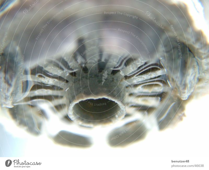 verkalkter Wasserhahn Kalk Triebwerke Wassertropfen Duschkopf