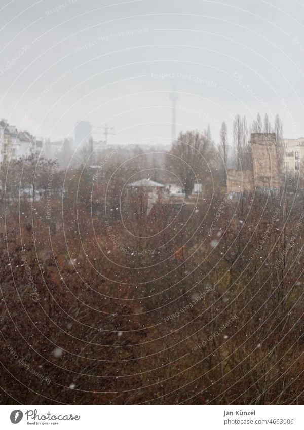 Schneetreiben im Berliner Winter Winterstimmung Schneefall Tristesse trist Berliner Fernsehturm Öde Traurigkeit Stadt urban Bäume Prenzlauer Berg