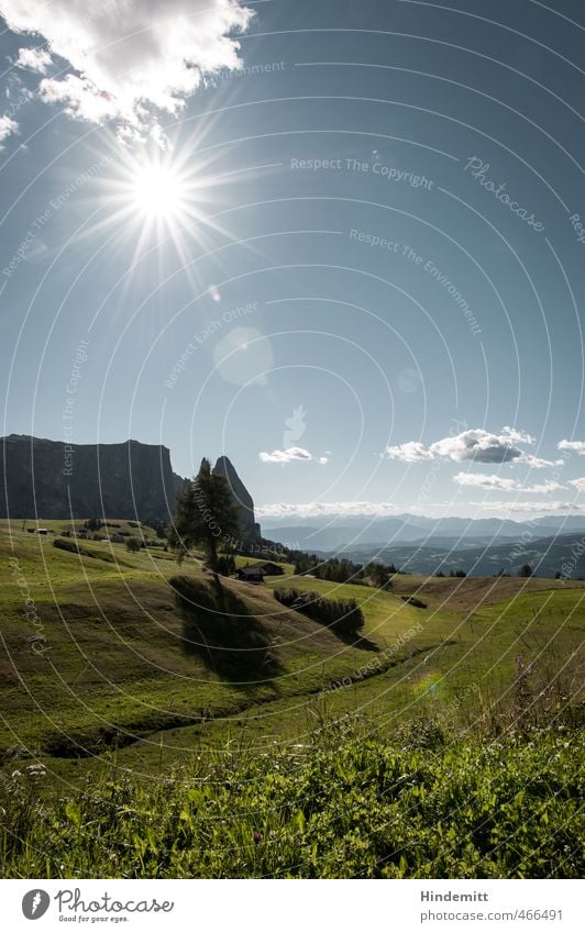 Wochenend und Sonnenschein Ferien & Urlaub & Reisen Tourismus Ausflug Ferne Urelemente Erde Feuer Luft Wasser Himmel Wolken Horizont Sommer Schönes Wetter Baum