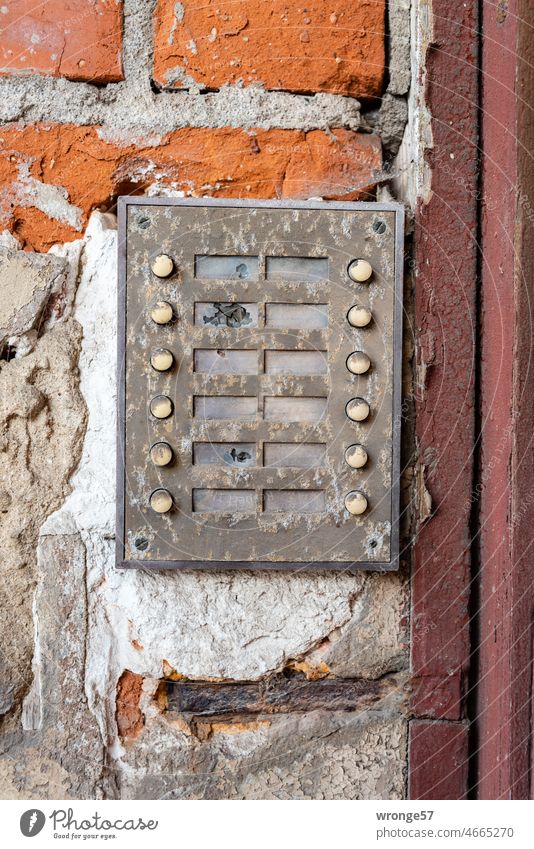 Altes Klingelschild an einem leerstehenden Wohnhaus in Magdeburg Klingelbrett alt Namenlosigkeit leerstehendes Haus Vergänglichkeit trist Fassade Außenaufnahme