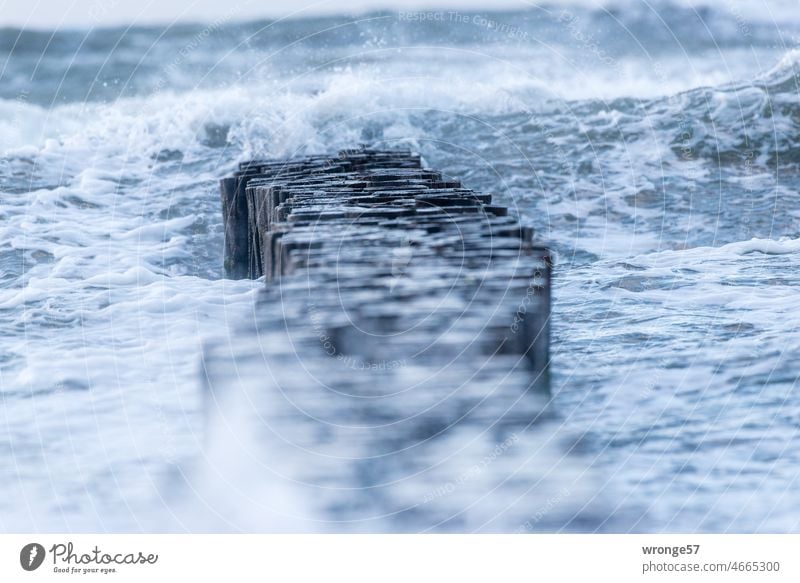 Sturmwellen an den Ostseebuhnen Wellen Buhnen Buhnenbefestigung Küstenschutz Fischland Meer Strand Wasser Ferien & Urlaub & Reisen Ostseeküste