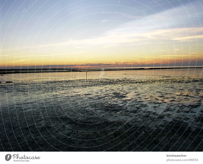 Abends im Watt2 Küste Wattenmeer Sonnenuntergang Ebbe