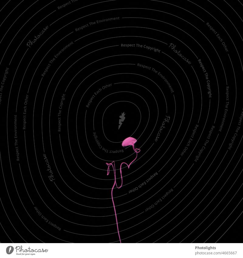 Lange Leitung - ein pinkes Farbschirmchen mit pinkem Faden auf schwarzem Hintergrund - sucht seinen Weg Acryl Acrylfarbe Wasser schwarzer hintergrund