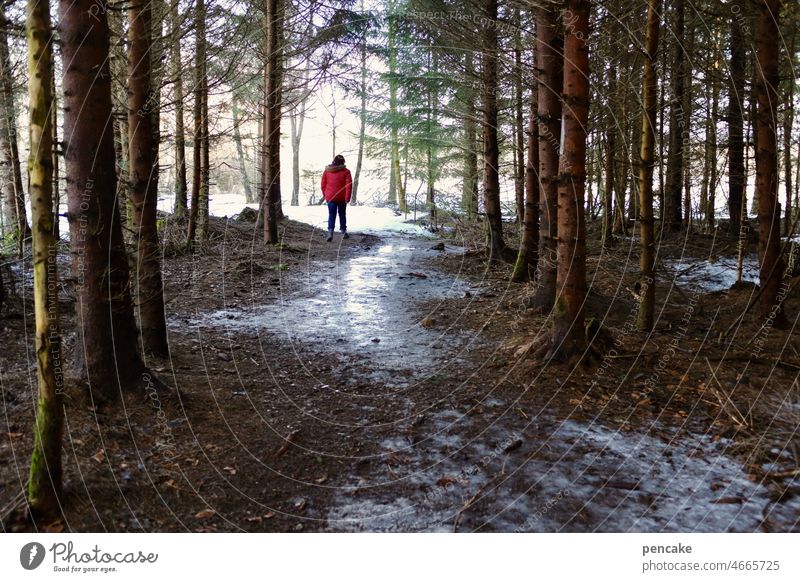 break on through Wald Eis Spaziergang Licht Dunkel Bäume Eisplatte Wanderer Person rot Jacke Winter Frost Schnee gefroren Baum Landschaft spiegelglatt Mensch