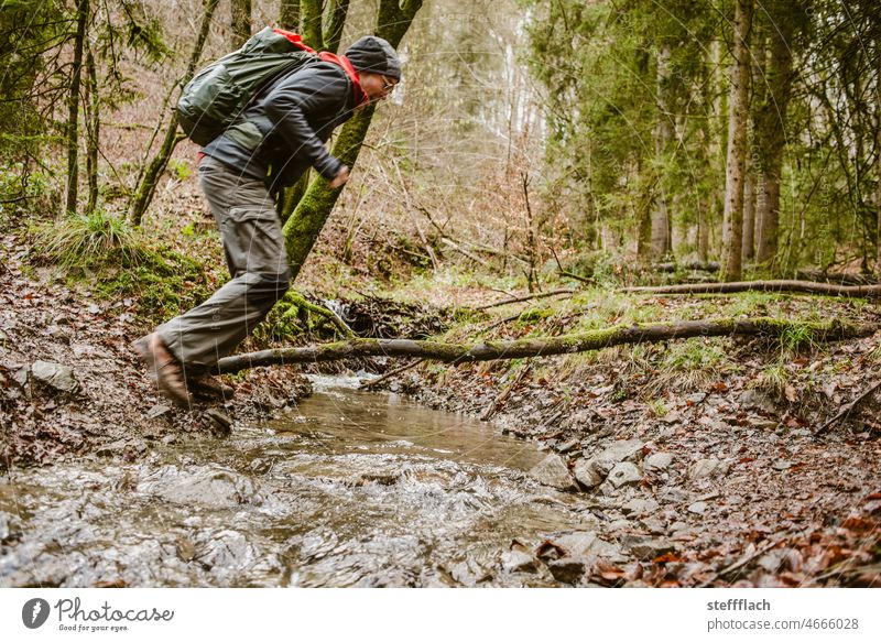 Bachüberquerung im Wald Natur Baum grün Farbfoto wandern springen Bäume waldbaden Bachufer sprung Außenaufnahme Tag ruhig Wasser