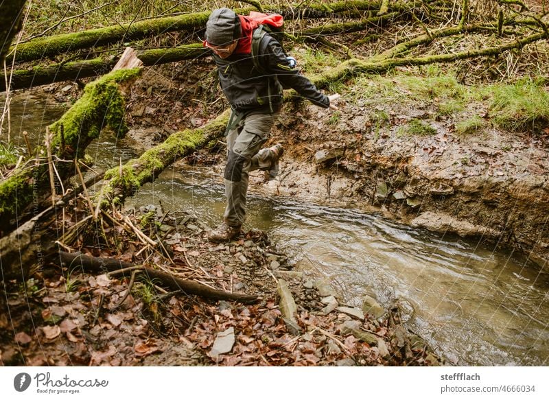 Bachüberquerung im Wald Tag ruhig Wasser Außenaufnahme sprung Bachufer wandern springen Bäume waldbaden Farbfoto grün Baum Natur