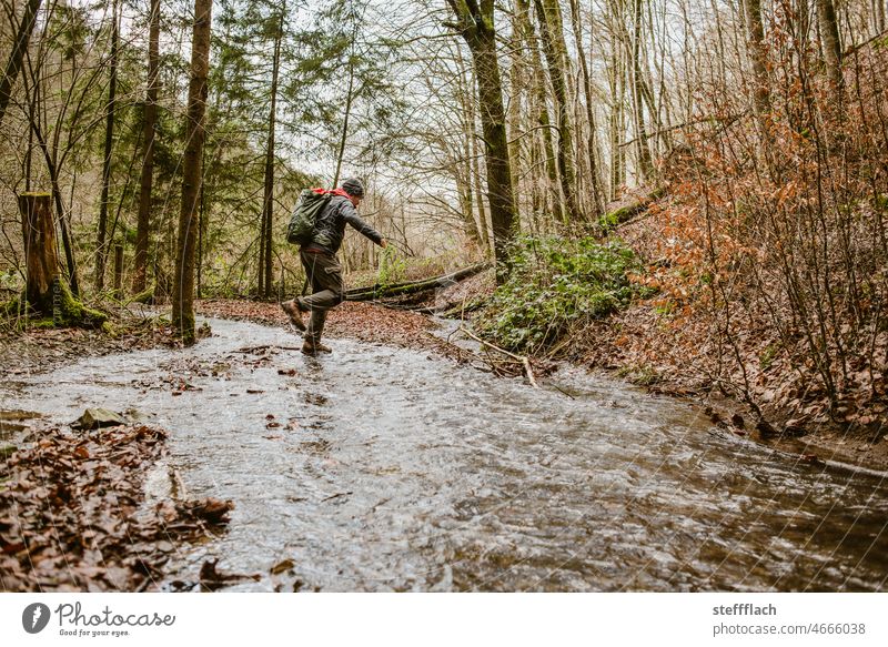 Bachüberquerung im Wald Baum Natur grün Farbfoto waldbaden Bäume sprung Bachufer wandern springen Außenaufnahme Wasser ruhig Tag