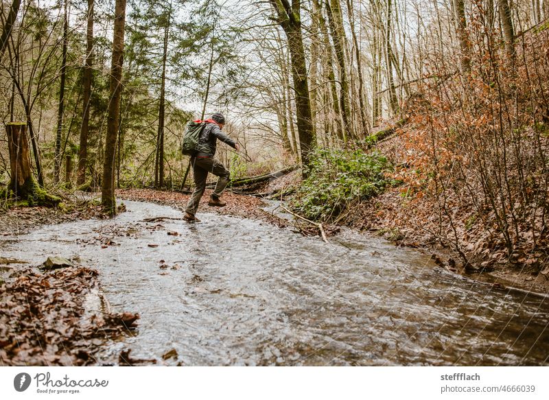 Bachüberquerung im Wald ruhig Tag Wasser Außenaufnahme springen wandern waldbaden Bäume sprung Bachufer Farbfoto grün Natur Baum