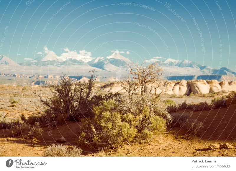 Red Rock Wonderland Wellness Leben Erholung ruhig Meditation Umwelt Natur Landschaft Urelemente Erde Luft Himmel Wolkenloser Himmel Sonne Sommer Wetter Wärme