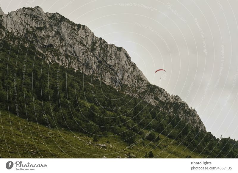 Gleitschirm vor Bergmassiv in den Chiemgauer Alpen Sommer fliegen Berge Berge u. Gebirge Gleitschirmfliegen Sport Himmel Außenaufnahme Freiheit Luft