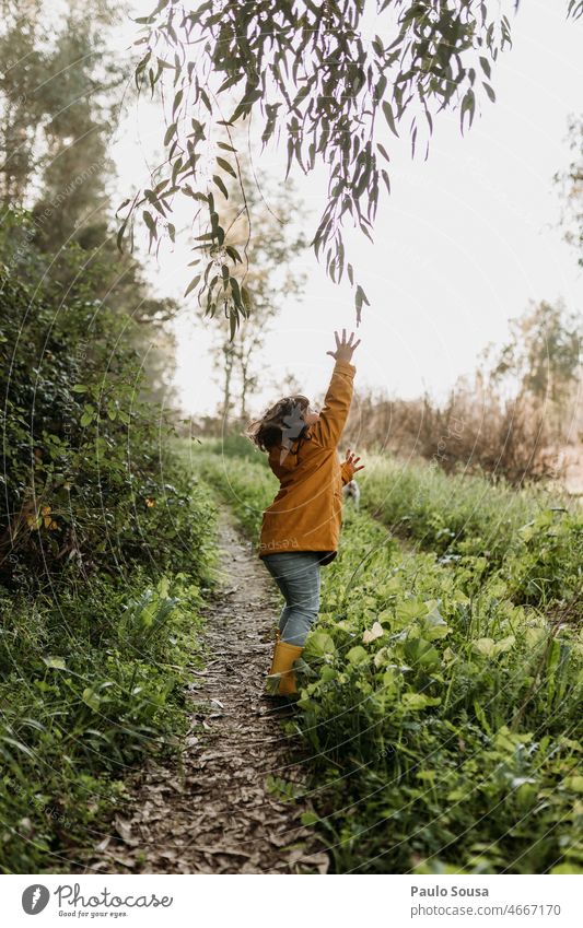 Nettes Mädchen versucht, Blätter vom Baum zu fangen niedlich Kind 3-8 Jahre Seitenansicht Natur Freude Spielen Mensch Außenaufnahme Kindheit Farbfoto 1