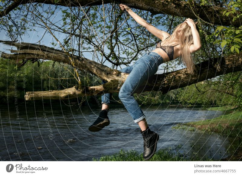 Ein blondes Mädchen in Bluejeans und einem sexy Bralette sitzt auf einem Baum. Ein wildes Model hat Spaß und macht irgendeine Art von Rodeo, während es einen Ast benutzt. Ein frisches Gefühl von Frühling ist hier!