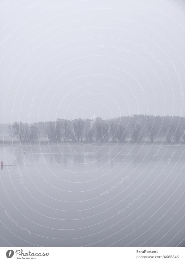 Fluss Wasser Nebel Elbe Baum Aue Landschaft Natur Umwelt grau Reflexion & Spiegelung ruhig Himmel Elbtalaue Boje Textfreiraum oben