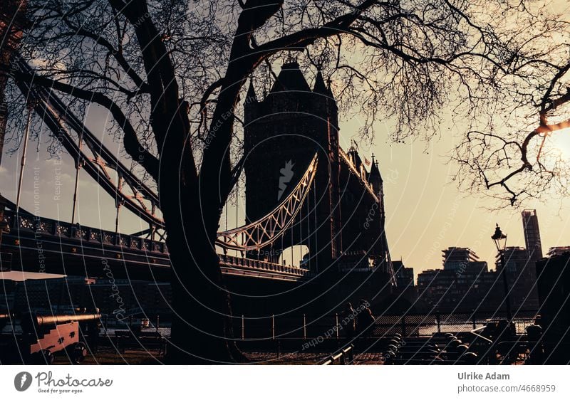 Tower Bridge London Brücken England Großbritannien historisch alt Themse Historische Bauten Hängebrücke Urlaub reisen Sehenswürdigkeit Straßenbrücke