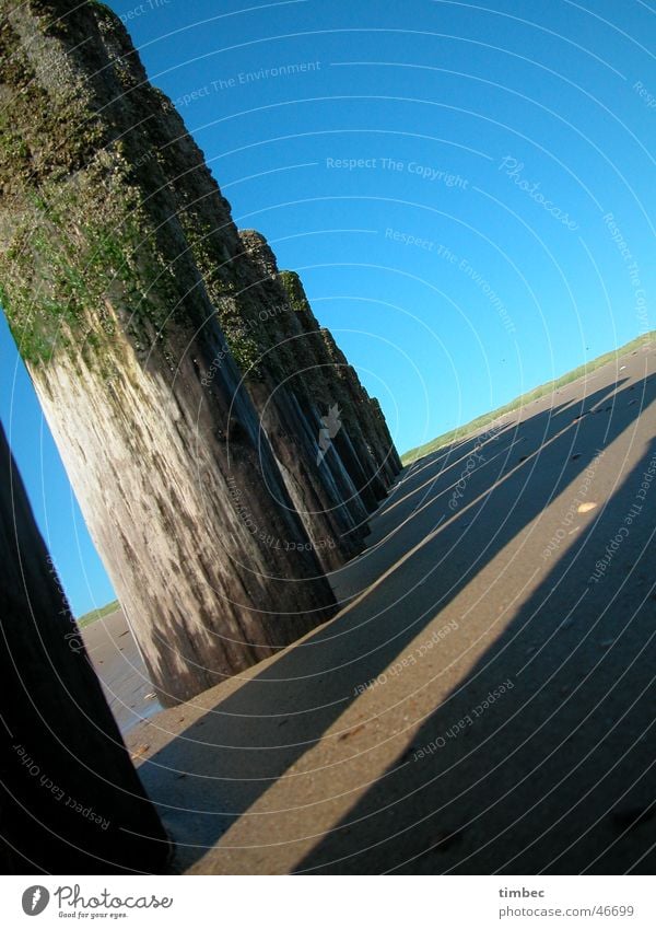 Schattenspiel Meer Buhne Algen Ferien & Urlaub & Reisen Ereignisse Baum Holz Luft Wellen Erholung braun Verlauf Sand blau Himmel Freude Baumstamm Natur Wind