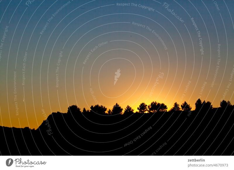 Marseille / Sonnenuntergang hinter Bäumen in der Calanque du Sugiton calanque ferien frankreich historisch kalkstein landschaft marseille mittelmeer provence