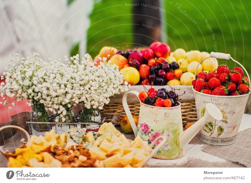 Herbst Lebensmittel Käse Gemüse Frucht Dessert Süßwaren Büffet Brunch Picknick Bioprodukte Vegetarische Ernährung Natur Blüte Garten Park frisch Gesundheit