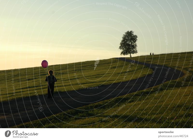 Kind mit Ballon Silhouette Baum Luftballon Natur