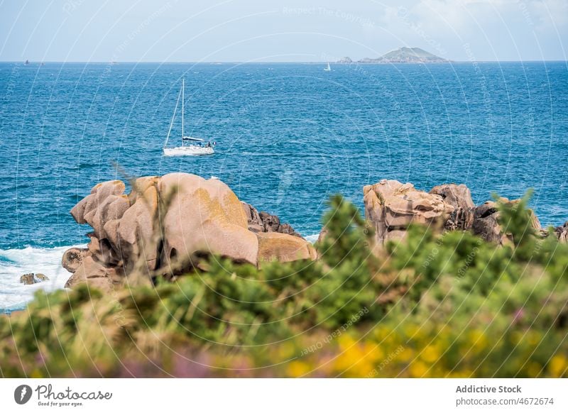 Boot schwimmt auf dem Meer in der Nähe des Ufers mit grünen Pflanzen Küste Gefäße MEER Natur Wasser Wasserseite Stein Seeküste Meeresufer Wasservogel Sommer