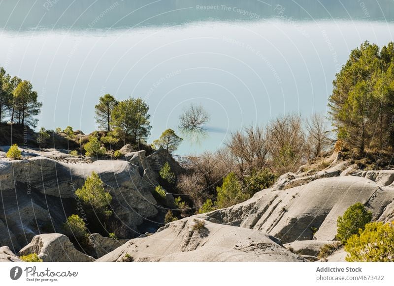 Felsige Klippe mit grünen Bäumen gegen ruhiges Meer Landschaft Natur Baum See MEER Ufer Küste felsig malerisch aqua Holz Wasser Umwelt Harmonie idyllisch