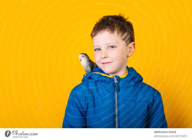 Junge in Oberbekleidung mit Papagei Liebesvogel Besitzer Haustier loyal Kind farbenfroh hell Vogel Kindheit Regenmantel Kapuze bezaubernd lässig Kurze Haare