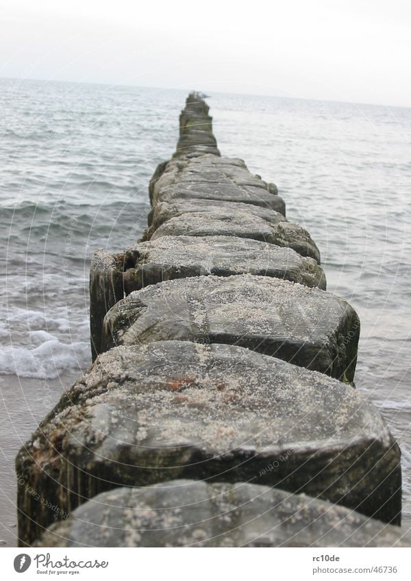 Ostsee - Ein Tag am Meer Wellen Kühlungsborn Schaum Strand Wasser möve moeve Sand