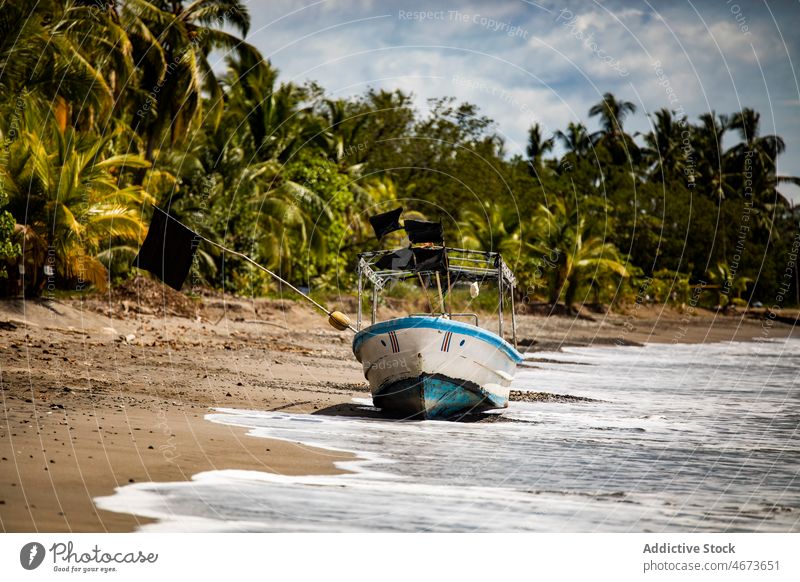 Boot am Ufer mit Bäumen Gefäße schäbig Küste MEER Wasser Strand Wald tropisch Pflanze Natur Flussufer Umwelt Sommer Rippeln aqua üppig (Wuchs) vegetieren