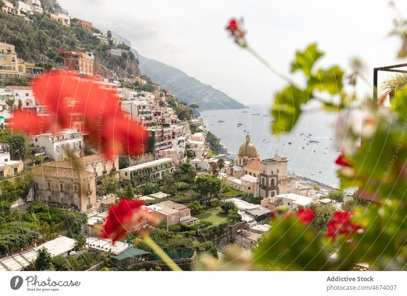 Blumen am Hang mit Gebäuden am Ufer Boot Gefäße Schwimmer Stadt Wasser MEER Küste Berge u. Gebirge Flora Pflanze Natur Haus Hafengebiet Italien Umwelt aqua